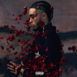 日本小视频在线
